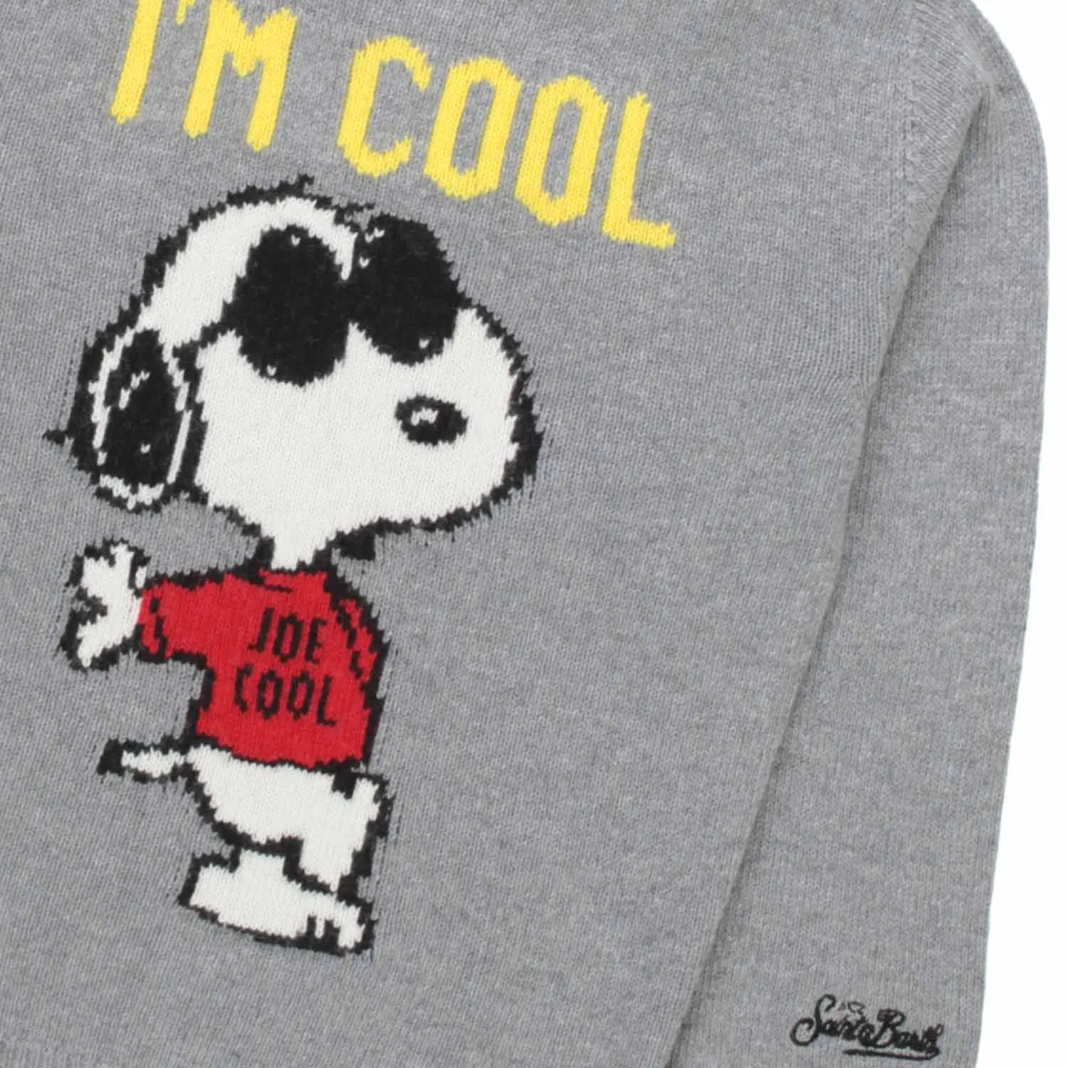 Maglione Snoopy Unisex