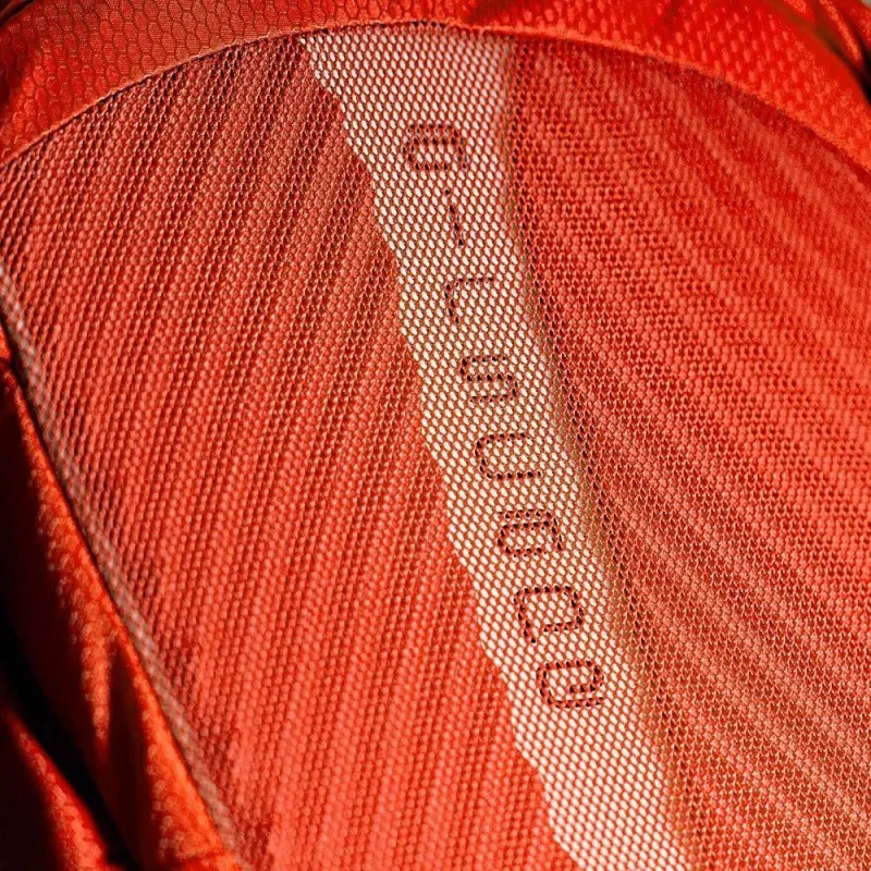 Osprey Viper 13